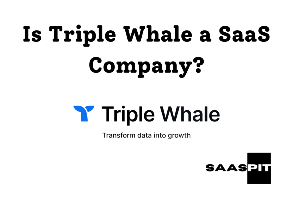 Is Triple Whale a SaaS Company