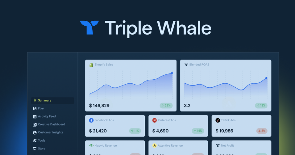 How is Triple Whale different from other analytics tools?  